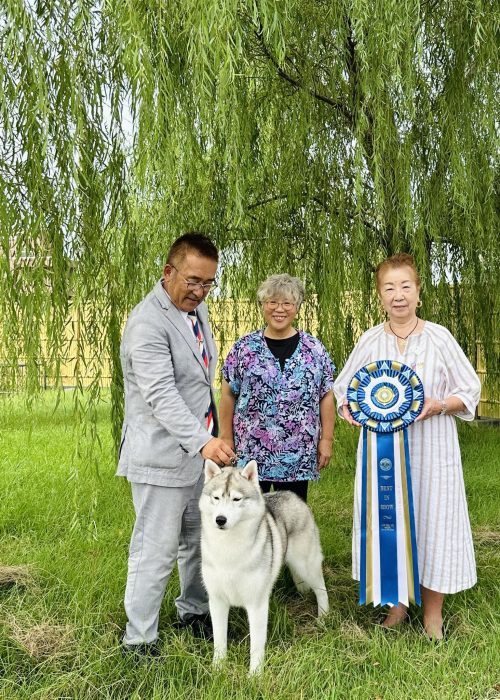 da52a17c-e3f9-4ff8-b801-ed91090e8259