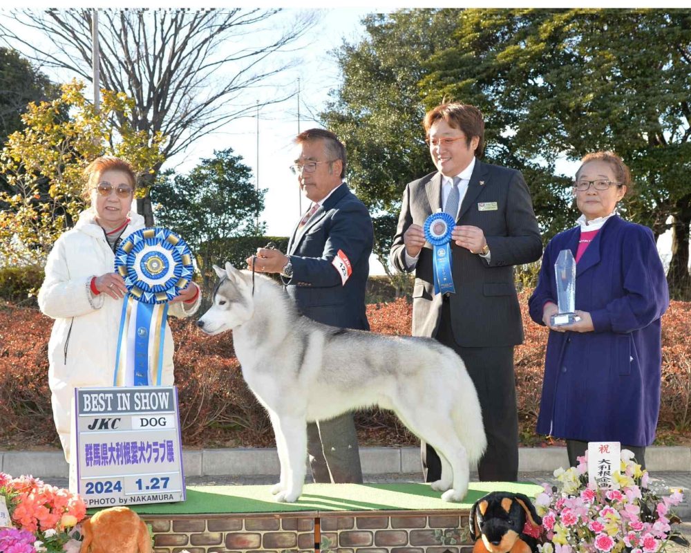 e266eba8-791e-47e8-8aad-7b72e8ad0fe5